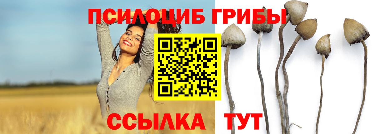 Донской  Галлюциногенные грибы GOLDEN TEACHER  Вход с VPN  Галлюциногенные грибы мицелий 